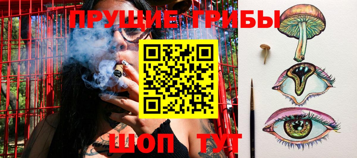 Советская Гавань  купить   Вход с VPN  Псилоцибиновые грибы мухоморы 
